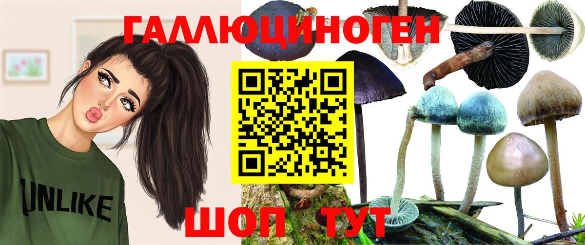 Солнечногорск  Псилоцибиновые грибы Psilocybine cubensis  где купить   Галлюциногенные грибы мухоморы  Вход с VPN 